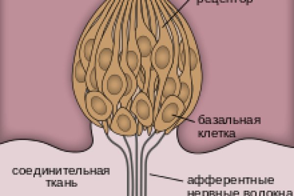 Kraken рынок