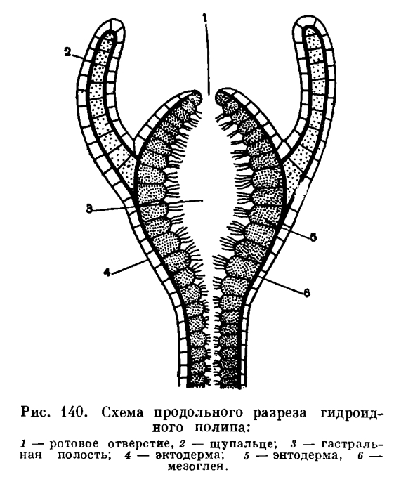 Кракен сайт 18at